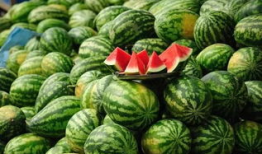 吃瓜最新事件爆料新沂