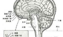 脑膜刺激征检查视频,直观解析临床诊断技巧